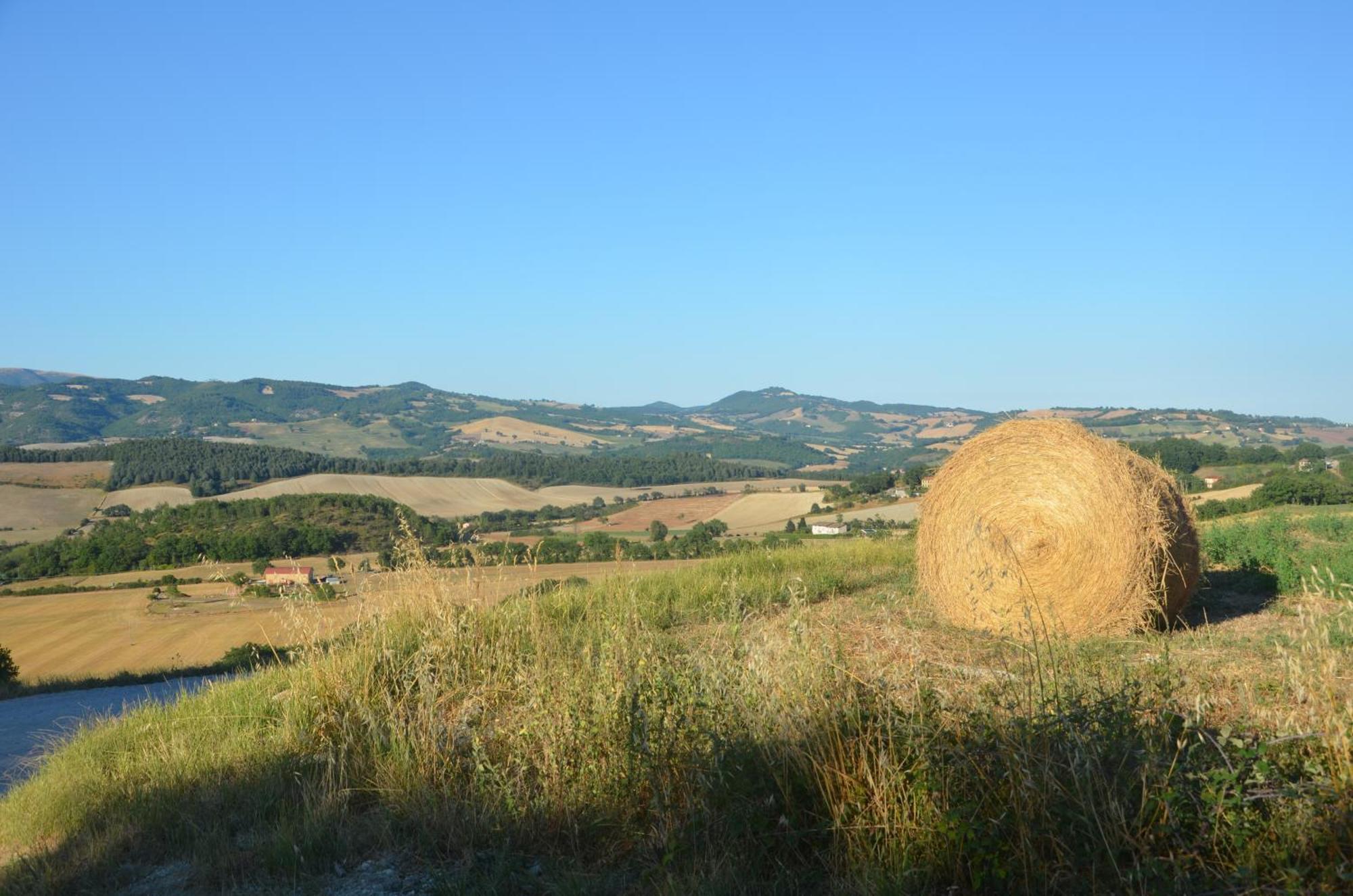 Farm stay Villa Colticciola Agriturismo Marche *