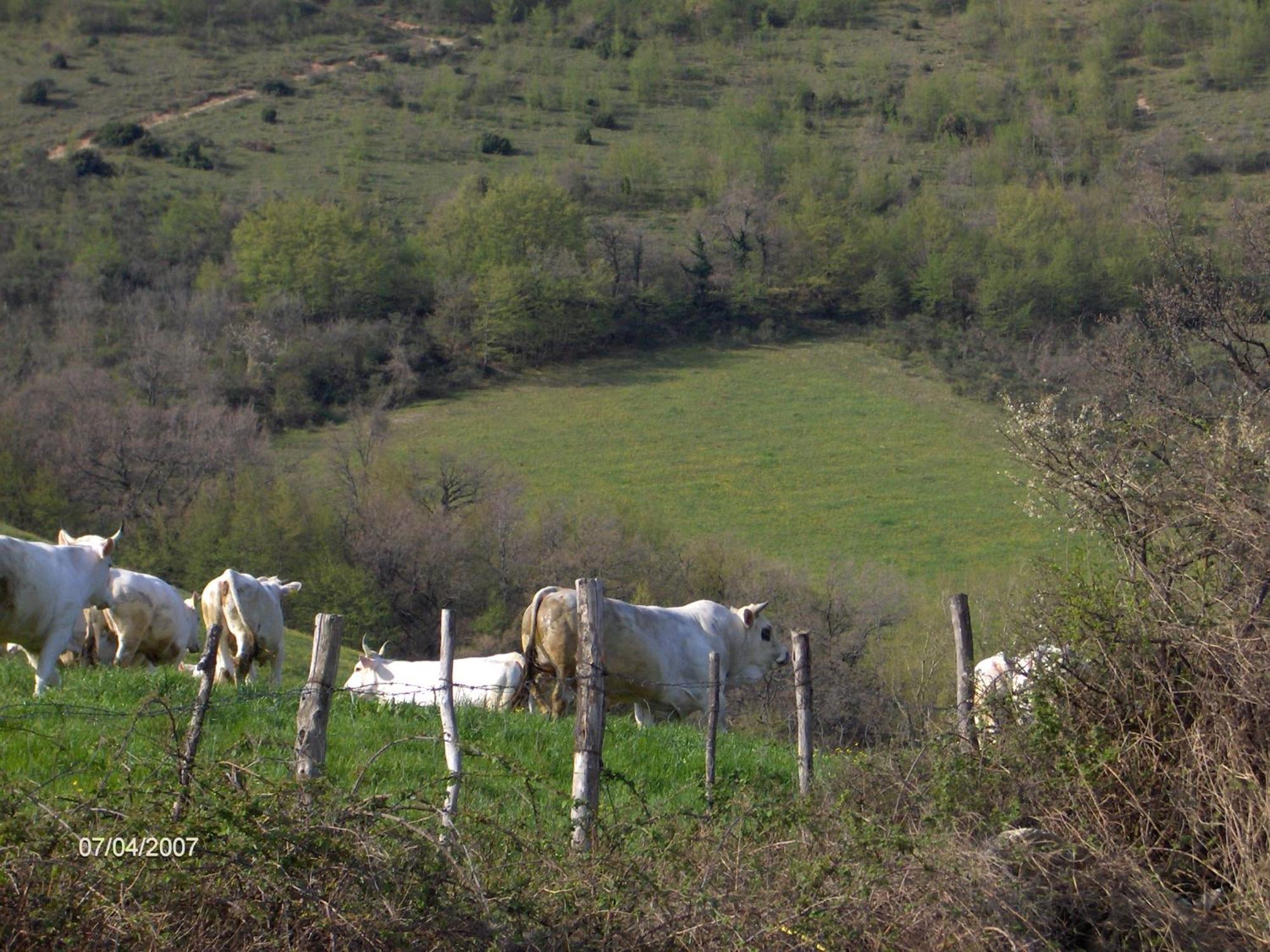 Villa Colticciola Agriturismo Marche