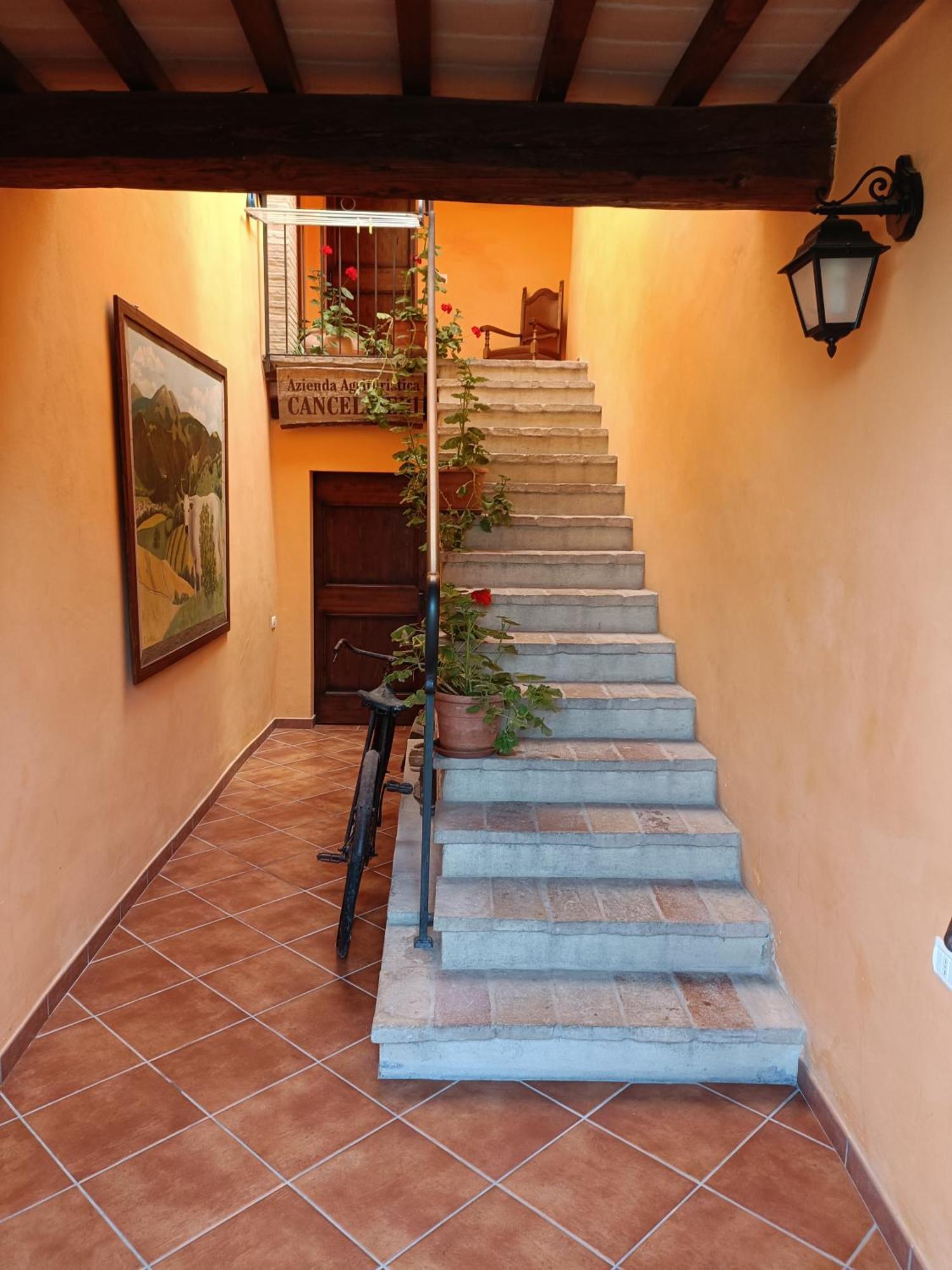 Farm stay Villa Colticciola Agriturismo Marche