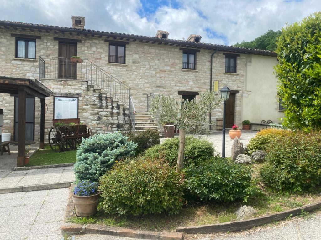 Farm stay Villa Colticciola Agriturismo Marche