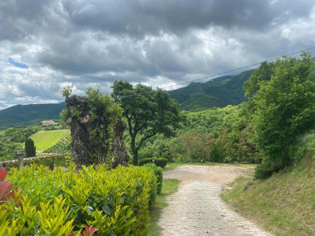 Villa Colticciola Agriturismo Marche Farm stay